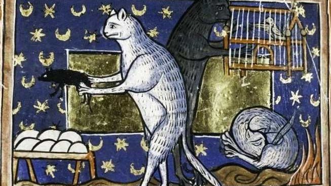 Jak vnímali lidé kočky ve středověku?
