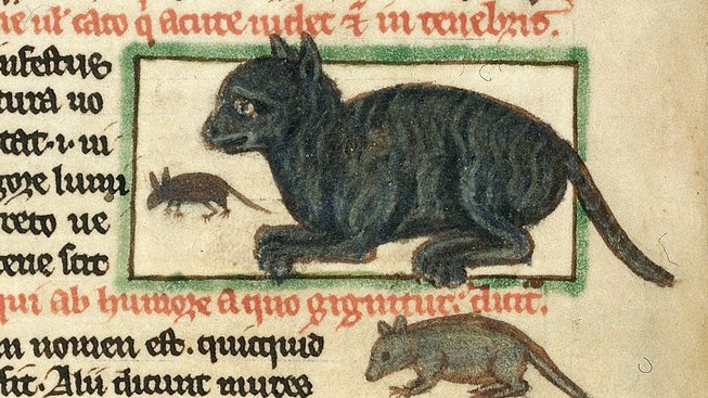 medieval-cats