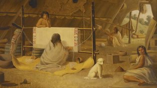 Sališský pes: Roztomilý huňáč, ze kterého indiáni pletli svetry