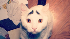 Sam has eyebrows