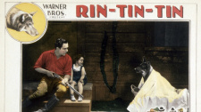 Rin Tin Tin