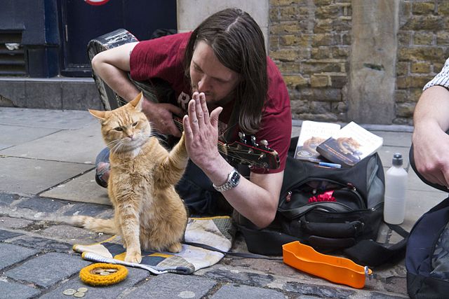 Bob_the_Street_Cat_high-fives_his_official_biographer_James_Bowen_on_the_publication_of_their_new_book._(7510771672)