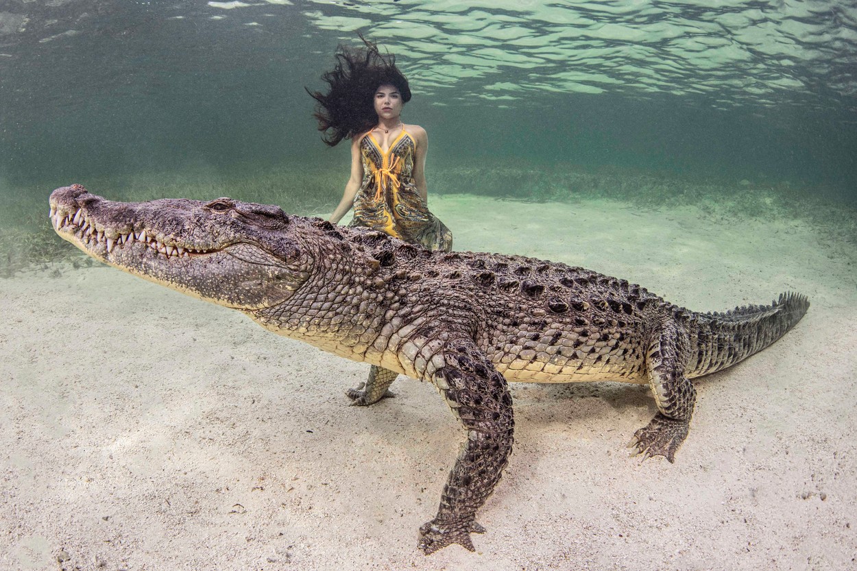 Focení s krokodýlem