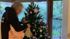 Vánoční koala