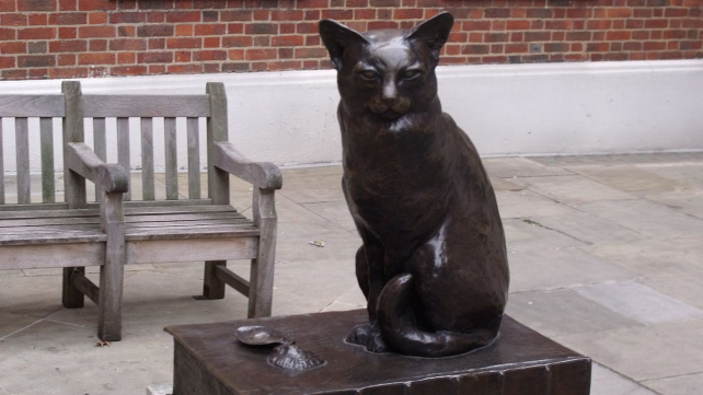 Kocour, kterému slavný spisovatel osobně chodil pro ústřice