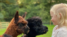 Darcey a lamy