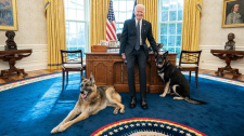Bidenovi psi