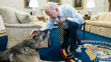 Bidenovi psi