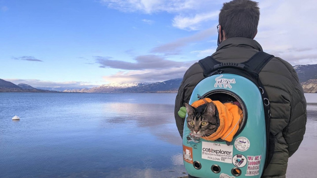 OBRAZEM: Kočičí cestovatelky se výzev nebojí