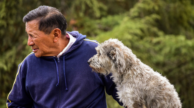 Lidé by se možná od psů mohli učit zdravému stárnutí