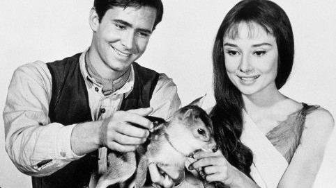 Kráska a koloušek: Neobvyklý mazlíček Audrey Hepburnové