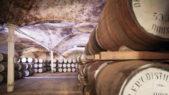 Psí dozor nad kvalitou whisky. Rocco kontroluje kvalitu sudů