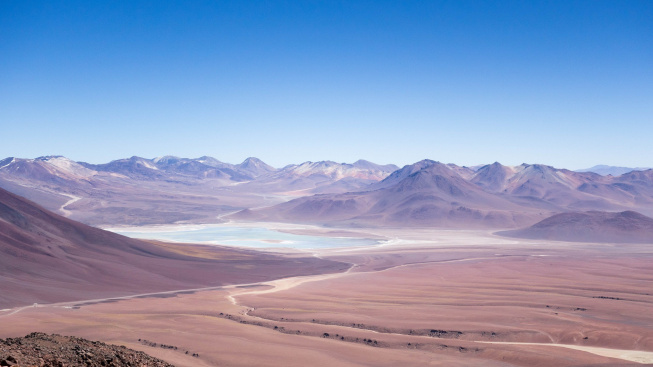 Mumie papoušků v poušti Atacama vypovídají o temné minulosti jejich chovu