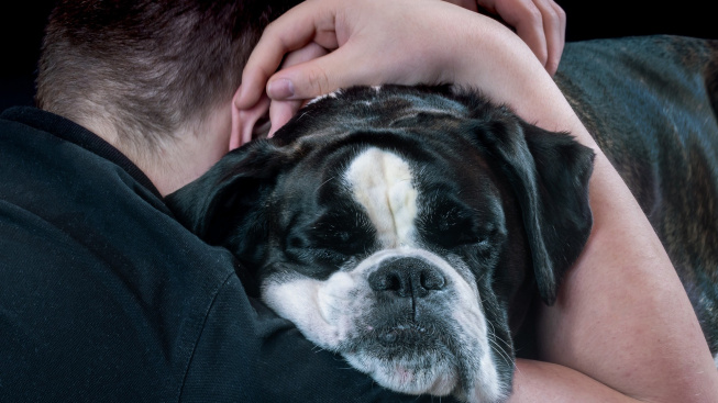 Jak poznat příznaky epilepsie u psů a chovat se při záchvatu