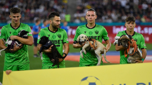 Jak vyprázdnit přeplněné útulky? Pomáhají s tím fotbalisté