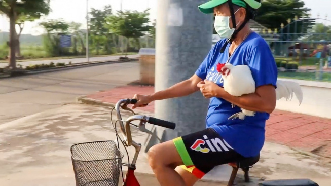 Thajská Chickaletta: Seniorka chová slepici jako mazlíčka. Cvičí s ní v parku