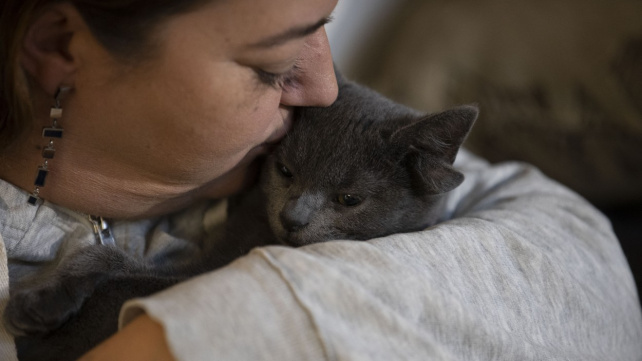 Čím víc oušek, tím větší roztomilost. Kotě se čtyřma ušima dobývá internet