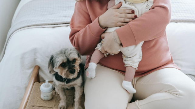 Malé dítě a pes v jedné rodině: Jde to dohromady?