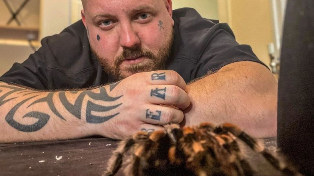 Kuriózní léčba psychické nemoci: Muž si domů nastěhoval 120 sklípkanů a konečně se cítí dobře