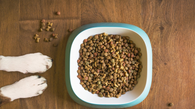 Jak za pár korun vylepšit krmivo vašeho psa