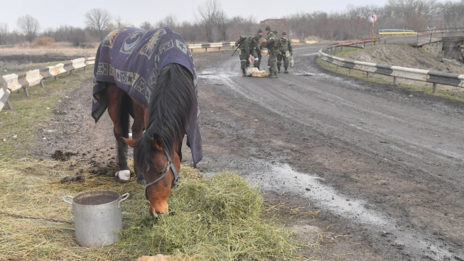 Po lidech prchajících z Ukrajiny zbyly stovky opuštěných koní, zachraňují je dobrovolníci