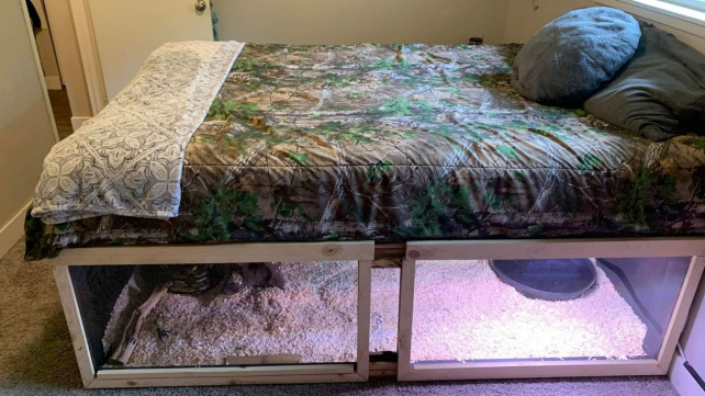 Obří hadi pod postelí? Žádná noční můra, prostě láska