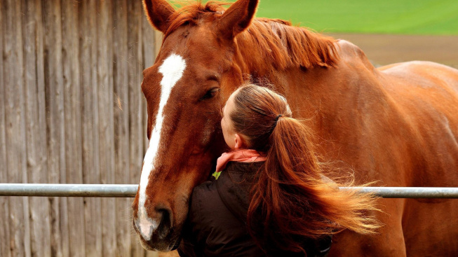 Pomalý a klidný hlas umí divy. Koně či vepři rozpoznávají emoce v hlase