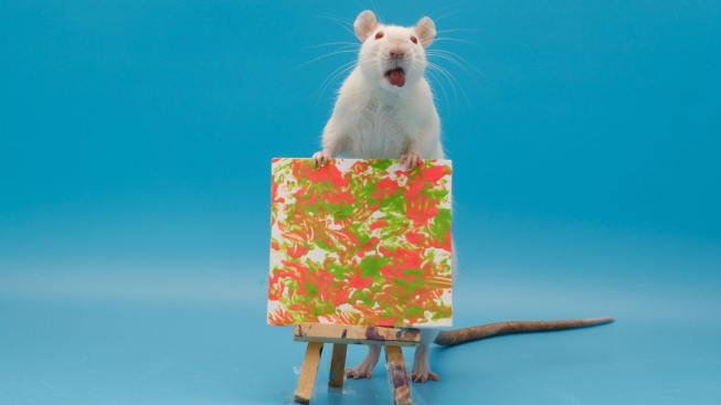 Seznamte se s potkaními malíři! Jejich obrazy se prodávají za desetitisíce