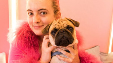 Mopsí kavárna