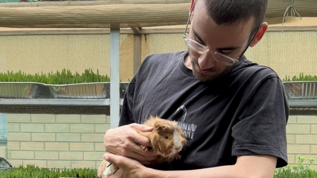 Muž koupil dům s deseti morčaty. Teď jich má 80 a péčí o ně stráví celý den