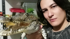 Krokodýlí mazlíček