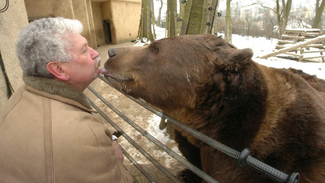 Uhynul Matěj, z večerníčkové medvědí trojice zbyl už jen Kuba