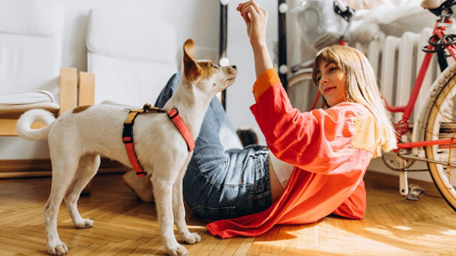 Jak svému mazlíčkovi dopřát tu nejlepší péči? Pomůže moderní pojištění