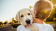 10 způsobů, jak psi dávají najevo lásku