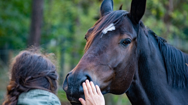 Respekt ke zvířecím emocím má vliv na jejich zdraví