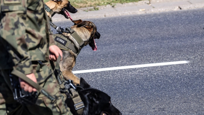 Vojenští psi v Polsku budou dostávat hodnosti