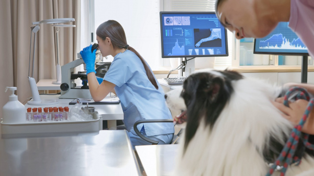 Jak technologie mění péči o zvířata a porozumění jejich chování